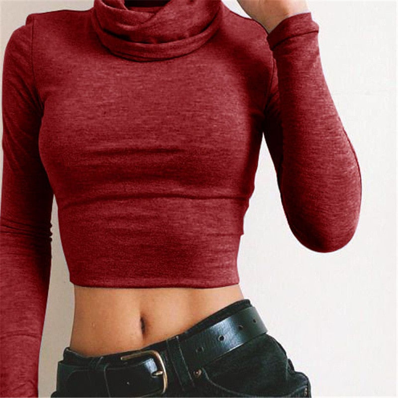 Turtle Neck Crop Top